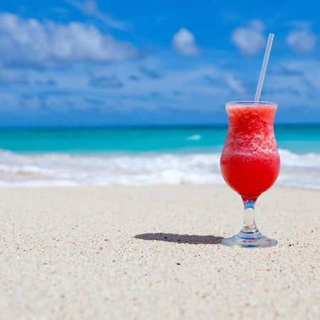 Le Palmier Bleu, Cocon Tropical, Plage & Piscine Anse Marcel Exterior foto