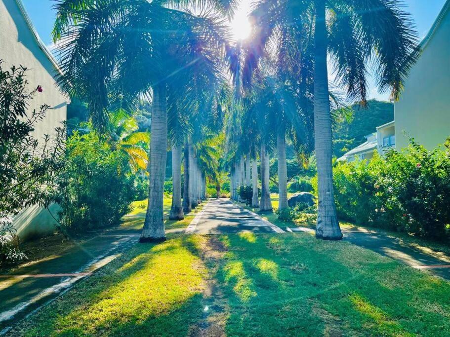 Le Palmier Bleu, Cocon Tropical, Plage & Piscine Anse Marcel Exterior foto