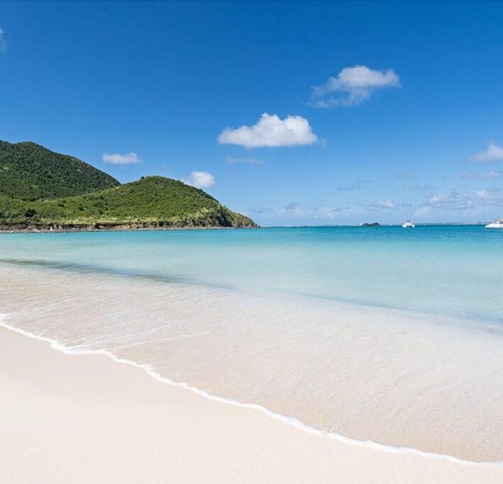 Le Palmier Bleu, Cocon Tropical, Plage & Piscine Anse Marcel Exterior foto